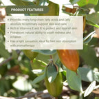 Jojoba Oil - Direct from EIR Oils' Farm in Israel - 100% Pure Carrier Oil for Hair, Face, and Skin - Hand-Picked, Cold-Pressed Carrier Oil (4 Gallons)