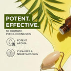 Gya Labs Australian Tea Tree Essential Oil - 0.34 Fl Oz - for Hair, Skin, Diffuser, Aromatherapy & DIY Candle Making Scent