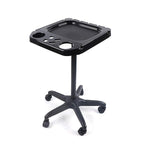 Aluminium Salon Instrument Tray, Height Adjustable Trolley Cart Tray Station on Wheels for Salon Tattoo Spa Beauty Service Holder Tool Storage (Black,Style 2)
