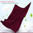Mulberry Silk Pillow Cases 2 Pack Queen Size 20x30 Inches with Hidden Zipper, Ultra Smooth and Soft Breathable Cooling Silk Satin Pillowcase Set of 2, Better for Hair and Skin, Gifts for Women Men