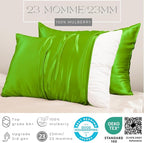 PROMEED Grade 6A+ Silk Toddler Pillow Case 13x18, Both Sides Premium Natural 23 Momme Mulberry Silk Pillowcase with Zipper, Free Laundry Bag (1pc, Green)