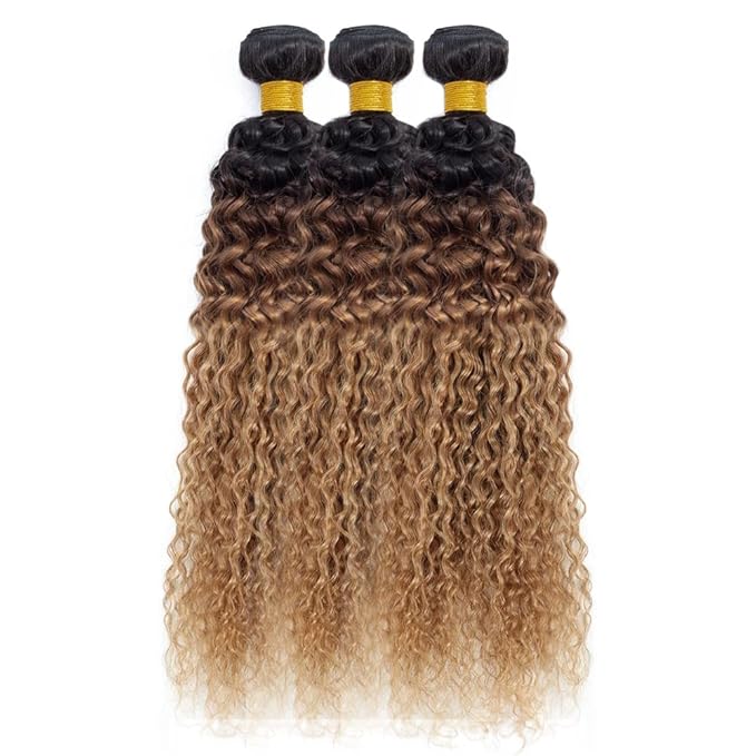 Ombre Brown Bundles Human Hair T1B/4/27 Water Wave Bundle Niegmeag Peruvian Virgin Remy Hair 3 Bundles 22 24 26 Inch 3 Tone Brown and Honey Blonde Bundle