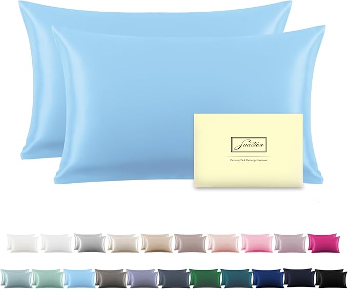 Silk Pillow Cases 2 Pack Soft Breathable and Sliky Queen Size Pillow Cases Set of 2,Natural Mulberry Satin Silk Pillowcase with Hidden Zipper for Hair and Skin (Sky Blue,20"X 30",2pcs)