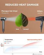 PLAVOGUE Dual Voltage Travel Hair Dryer with Diffuser, High-Speed Ionic Blow Dryer for Women, Fast Drying, Low Noise, Lightweight, No Heat Damage, European Travel 110V-120V/220V-240V (Grey)