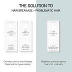 ILES FORMULA Haute Performance Shampoo + Conditioner + 100% Silk Hair Tie Set – Deep Cleanse, Detangle & Repair Damaged Hair – Color Safe, Sulfate-Free, for All Hair Types & Extensions (200 ml Each)