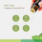 Roots & Above Pure Frankicense Essential Oil – 99% Natural Cold-Pressed Oils for Aroma, Skin, Face, Hair, Diffuser, Massage, Soap, DIY & Candle Making Scent - 1.01 Oz/30ml