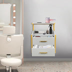 Suspended Salon Station for Hair Stylist, Wall Mounted Styling Salon Station Storage Cabinet w/2*Drawers &Hair Dryer Stand,Floating Nightstand Stylist Storage Cabinet for Home (Glod+Gray)