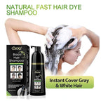 Dexe Hair Dye Shampoo 14.1 Fl Oz, Gray Hair Coverage, Black Hair Dye, Hair Color Shampoo, Black Hair Shampoo for Men & Women