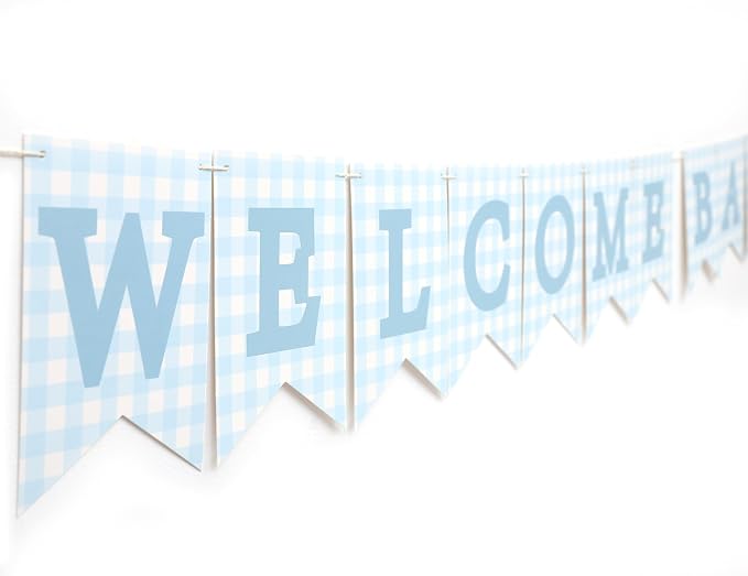 Blue Gingham Welcome Baby Shower Banner - Image 3