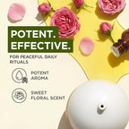 Gya Labs Rose Otto Essential Oil - 0.34 Fl Oz - for Hair, Skin, Diffuser, Aromatherapy & DIY Candle Making Scent