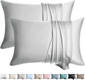 100% Silk Pillow Cases 2 Pack Standard Size Mulberry Silk Pillowcase for Hair and Skin Set of 2 Highest Grade 6A Silk Soft Breathable Cooling with Hidden Zipper, Light Grey