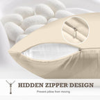 100% Mulberry Silk Pillowcase 2 Pack,Queen Size Silk Pillow Cases for Hair and Skin,Silky Smooth Bed Pillow Cover with Hidden Zipper,Natural Silk Pillow Case Set of 2 (Beige, Queen 20X30)