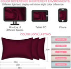 Mulberry Silk Pillow Cases 2 Pack King Size 20x36 Inches with Hidden Zipper, Ultra Smooth and Soft Breathable Cooling Silk Satin Pillowcase Set of 2, Better for Hair and Skin, Gifts for Women Men