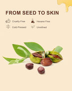 USDA Organic Jojoba Oil Cold Pressed 8 fl oz, 100% Pure & Natural Unrefined Jojoba Oil for Face Hair & Skin Massage, Hexane Free, Deeply Moisturizing Body Carrier oils Multi-Purpose Serum