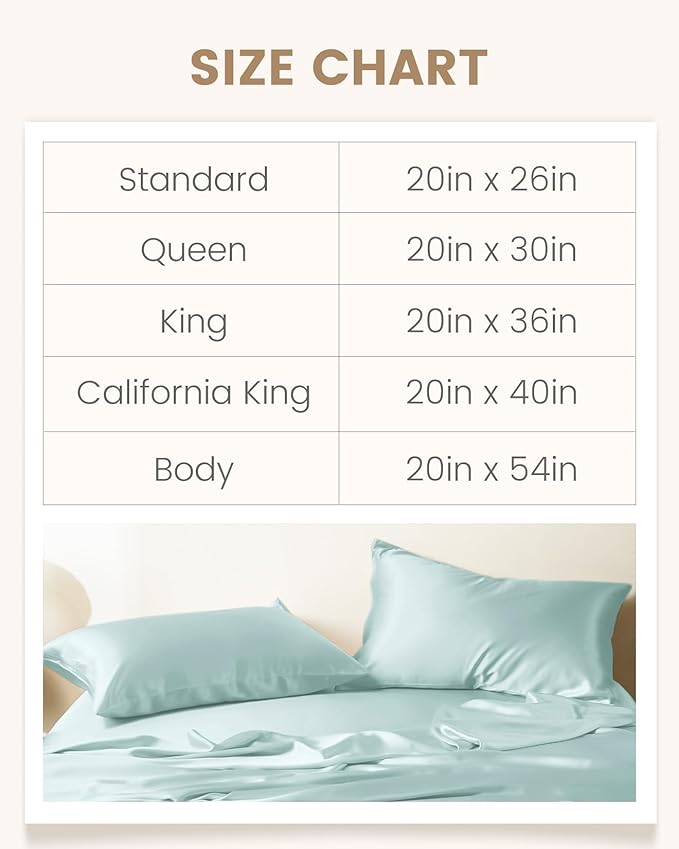 THXSILK Set of 2 100% Mulberry Silk Pillowcase for Hair and Skin, Grade 6A+ Mulberry Silk Pillow Cases Ultra-Soft, Hypoallergenic Pillow Case Cover with Zipper (Queen 20"x30", Light Blue)