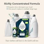 Puracy Laundry Detergent - Enzyme-Powered Liquid Laundry Detergent Concentrate, Natural LaundryDetergent Seen on TikTok, Non-Toxic (Cherry Blossom, 16 fl oz, 64 Loads)