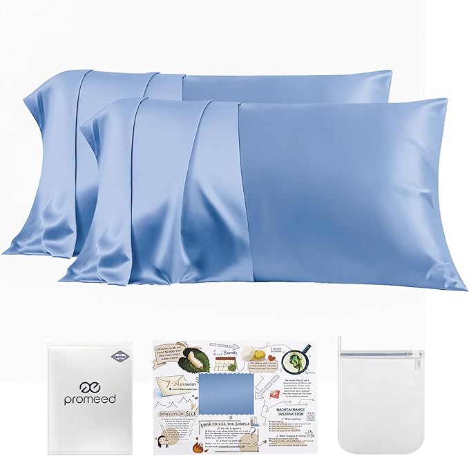 PROMEED 100% Mulberry Silk Pillowcase Set of 2, Both Sides Natural Silk Pillow Case 2 Pack Cooling Pillow Cases for Hot Sleepers, Hidden Zipper Closure (Queen 20"x30", Light Blue)