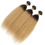 28 30 32 Inch Ombre Blonde Bundles Human Hair 1B27 Kinky Straight Bundles Niegmeag Virgin Remy Hair Extensions 2 Tone Black and Honey Blonde Yaki Bundle 150g