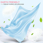 Mulberry Silk Pillow Cases Queen Size with Hidden Zipper, Ultra Smooth and Soft Breathable Cooling Silk Satin Pillowcase for Hair and Skin, Gifts for Women Men (Sky Blue, 20x30 Inches, 1 Pack)