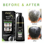 Dexe Hair Dye Shampoo 14.1 Fl Oz, Gray Hair Coverage, Black Hair Dye, Hair Color Shampoo, Black Hair Shampoo for Men & Women