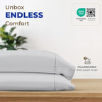 THREAD SPREAD 100% Egyptian Cotton Pillow Cases King - 1000 Thread Count Pillow Cases King Size Set of 2, Soft Cooling & Breathable Extra Long Staple Sateen Weave Cotton Pillow Covers for Bed - Silver
