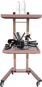 2 Tier Foldable Tray Trolley, Stainless Steel Salon Storage Metal Rolling Cart Mobile Hairdressing Tool Organizer with Wheels for Hair Salon, Studios, Spa Salons (Rose Gold)