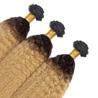 1B27 Human Hair Bundles Ombre Kinky Straight Bundles 20 22 24 Inch Niegmeag Virgin Remy Hair Extensions Double Weft 2 Tone Black and Honey Blonde Bundle 150g