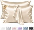 Silk Pillow Cases 2 Pack Queen Size Mulberry Silk Pillowcase Set of 2 for Hair and Skin 30 x 20 Inches 22 Momme Both Side Grade 6A Silk Soft Breathable Cooling with Hidden Zipper, Beige