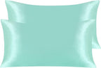 NTBAY 2 Pack Satin King Pillowcases for Hair and Skin, Luxurious and Silky Pillow Cases with Envelope Closure, 20x36 Inches, Light Blue
