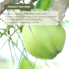 Fractionated Coconut Oil - Sourced Directly from our Farm Partner in the Philippines - Carrier Oil for Diluting Essential Oils, Body, Hair, and Skin Moisturizer - (4Gallons)