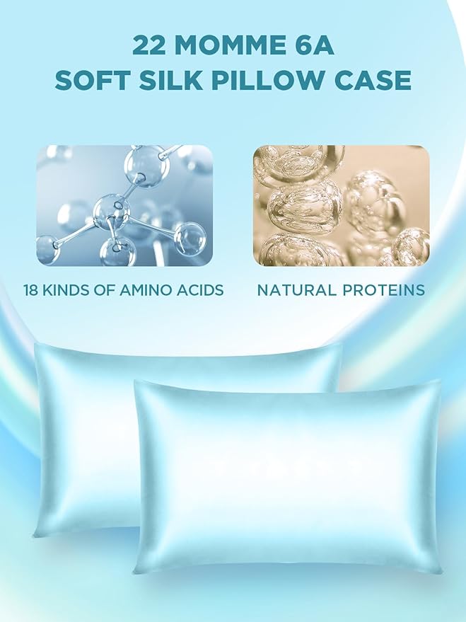 Mulberry Silk Pillowcase for Hair and Skin, SGMSILK 22 Momme Natural Silk Pillow Cases with Zipper, 6A Soft and Smooth Single Sided Pure Silk Pillow Cover (Haze Blue, King 20"x36")