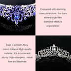 Didder Tiaras for Women, Dark Blue Crystal Crowns for Women Princess Crown Tiaras and Crowns for Women Girls Women's Headbands Halloween Christmas Bridal Wedding Prom Birthday Party Gift