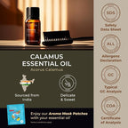 Gya Labs Calamus Essential Oil - 0.34 Fl Oz - for Hair, Skin, Diffuser, Aromatherapy & DIY Candle Making Scent
