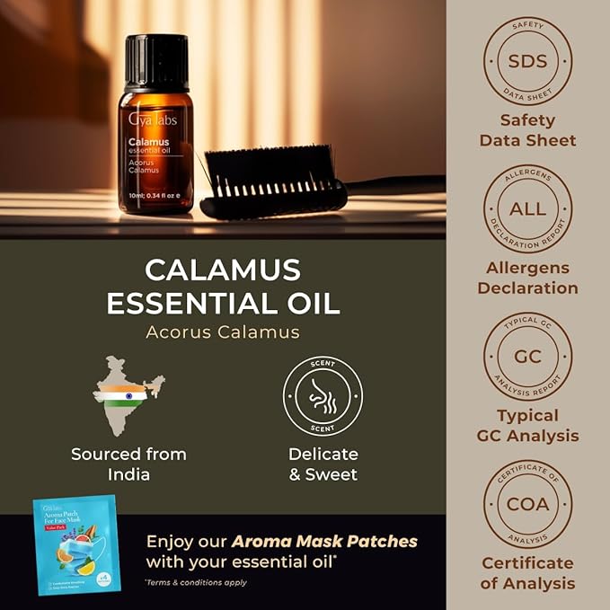 Gya Labs Calamus Essential Oil - 0.34 Fl Oz - for Hair, Skin, Diffuser, Aromatherapy & DIY Candle Making Scent