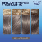 Clairol Nice'n Easy Permanent Hair Dye, 8S Soft Silver Hair Color, Pack of 1