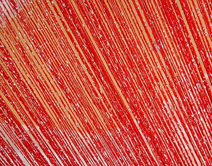 ave split Decorative Door String Curtain Wall Panel Fringe Window Room Divider - Image 6