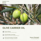Olive Oil - 100% Pure Cold Pressed Natural Olive Oil (Aceite de Oliva) for Essential Oils Dilution, Massage & Skincare - Premium Grade (16oz)