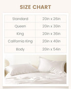 THXSILK 100% Silk Pillowcase for Hair and Skin, Both Sides Grade 6A+ Mulberry Silk Pillow Case with Hidden Zipper, Soft Smooth White Pillowcase(1pc, Queen Size 20"x30")