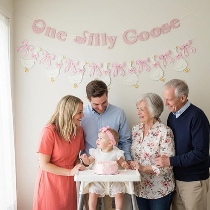 One Silly Goose Banner, 1st Birthday Party Decoration, Goose Garland - Image 6