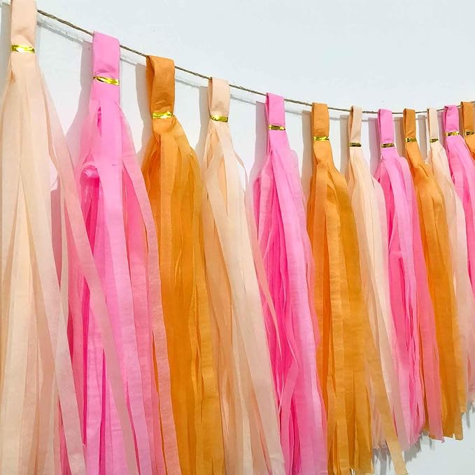 We Moment Pink Orange Peach Tissue Paper Tassels Party Tassel Garland Banner - Image 2