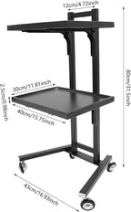 2 Tier Foldable Tray Trolley, Stainless Steel Salon Storage Metal Rolling Cart Mobile Hairdressing Tool Organizer with Wheels for Hair Salon, Studios, Spa Salons (Black)