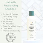 Yobee Naturally Rebalancing Shampoo | Dry, Flaky & Itchy Scalp Care with Para Probiotics, Organic Honey & Turmeric, Vitamin B12 & Oat Extracts | Dandruff & Psoriasis Relief (6 Bottles)