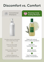 AROMATICA Rosemary Scalp Scaling Shampoo - Korean Hair Care with Thinning Hair Loss Natural Rosemary Essential Oil for Women - Vegan Hair Growth - Free from Sulfate, Silicone, and Paraben (13.53 oz)