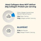 Blueprint Bryan Johnson Hydrolyzed Collagen Peptides Powder – Type I, II & III Collagen for Women & Men – Unflavored Protein Supplement for Hair, Skin, Nails, Joints & Cartilage – 20g – 30 Servings