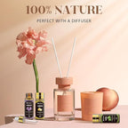 Essential Oils Set 40 Pcs, Essential Oils Perfect for Diffuser, Fragrance Oil Set for Massage, Soap, Candle Bath Bombs Making