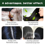 Natural Black Hair Color Shampoo for Gray Coverage, 3 in 1 Herbal Hair Shampoo for Women and Men, 500ML