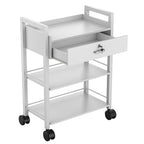 Paddie Salon Beauty Cabinet Cart Trolley 2-Layer Rolling Storage Drawer Organizer Wheels Lockable Tool Salon Station Barber Stylist Equipment Makeup Spa Cart (White-3 Layer)
