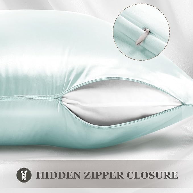 Adubor 100% Silk Pillowcase - Mulberry Silk Pillow Cases, 23 Momme 6A Grade Fibers, Silk Pillow Case for Hair and Skin Health, with Hidden Zipper (Queen 20''x30'', Light Green, 1PC)