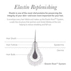 NULASTIN Scalp Serum - Vibrant Scalp Treatment to Help Improve the Look of Hair Density - Lightweight, Fast Absorbing Formula Enriched with Hair-Strengthening Ingredients (1.7 Oz)