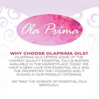 Ola Prima Oils 16oz - Patchouli Essential Oil - 16 Fluid Ounces